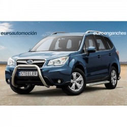 Defensa delantera CE sin...