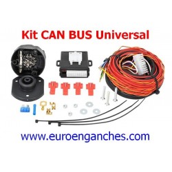 Kit eléctrico CAN 13 polos...
